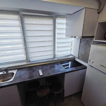 アパート Garsoniera Cris & Ale エフォリエ・ノルド